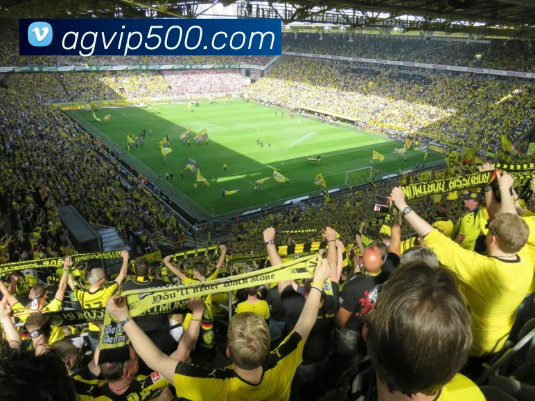 500彩票服务体系